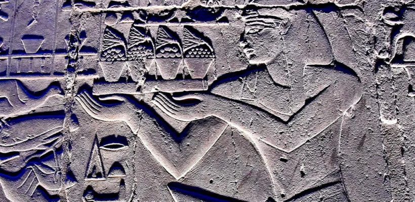 ancient Egyptian lotus flower Egypt Fun Tours 1