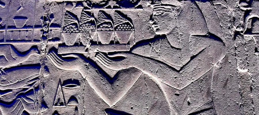 ancient Egyptian lotus flower Egypt Fun Tours 1