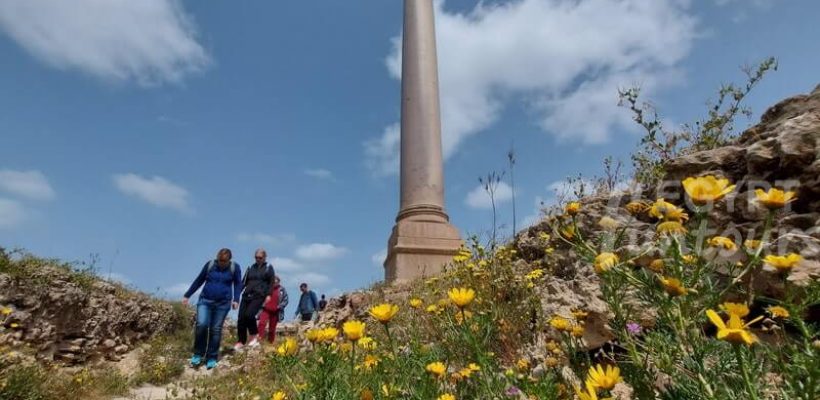 day trip to alexandria from cairo egypt fun tours7