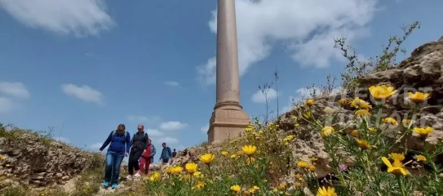 day trip to alexandria from cairo egypt fun tours7