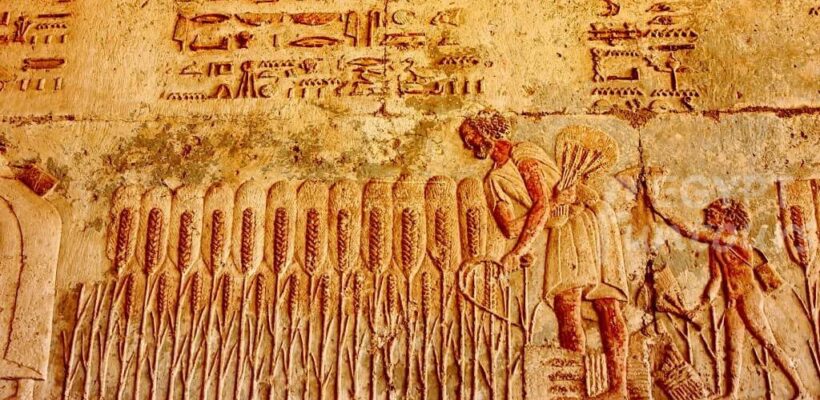 full day trip to el minya from cairo hotel 2