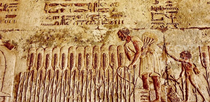 full day trip to el minya from cairo hotel 2