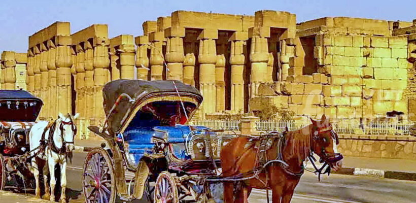 horse carriage at luxor