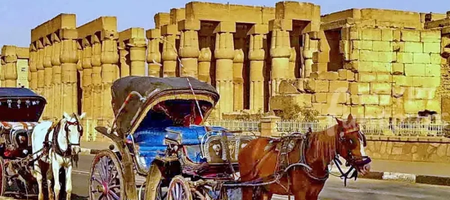 horse carriage at luxor