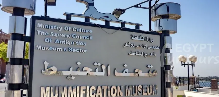 luxor mummification museum 1
