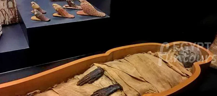 luxor mummification museum 2