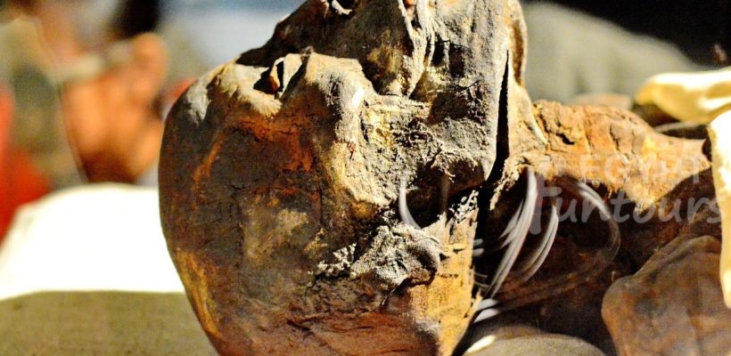 luxor museum artifacts 15