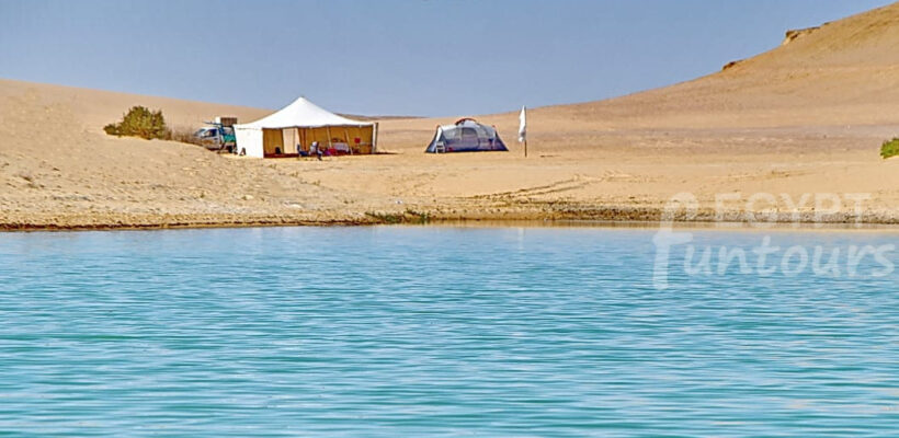 magic lake fayoum oasis1 1