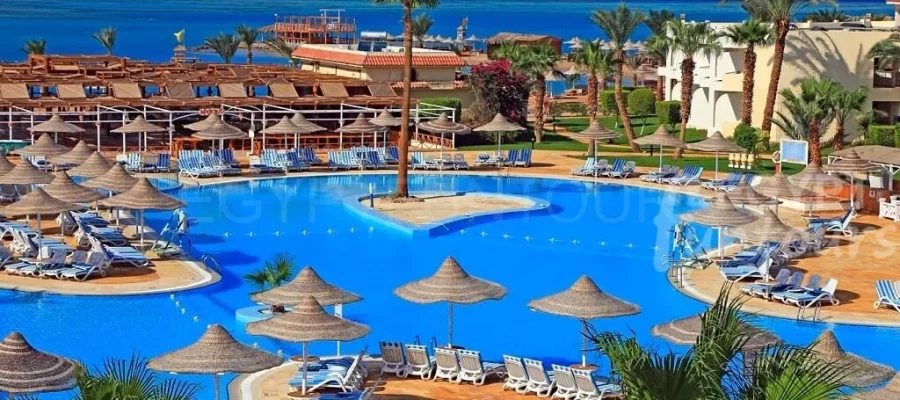 8 day family tour - Things to do in Makadi Bay - egypt luxury holiday