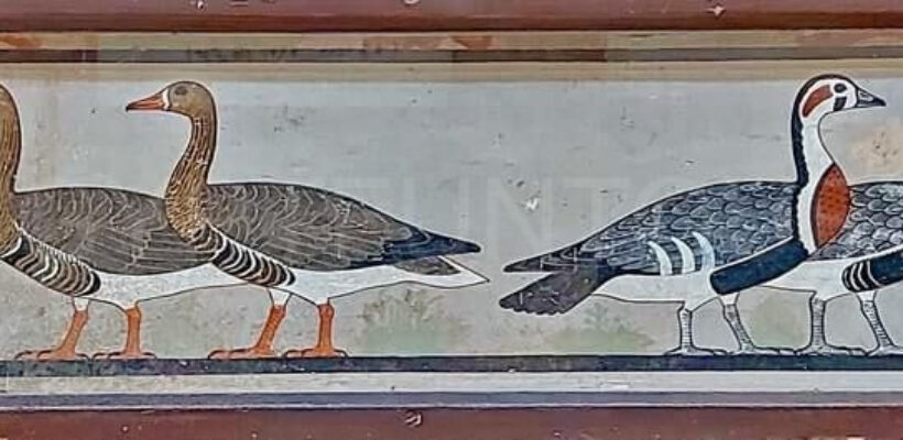 meidum geese egyptian museum treausres - Egyptian Museum Half-Day Tour