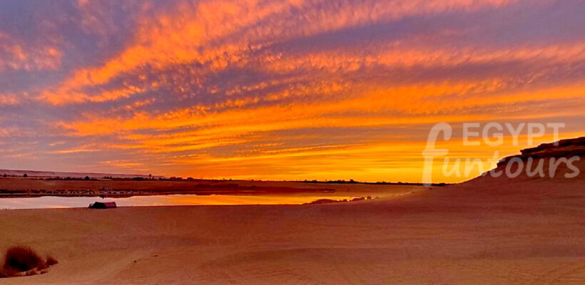 overnight camping trip to fayum from cairo - 16 days standard historical egypt tour package