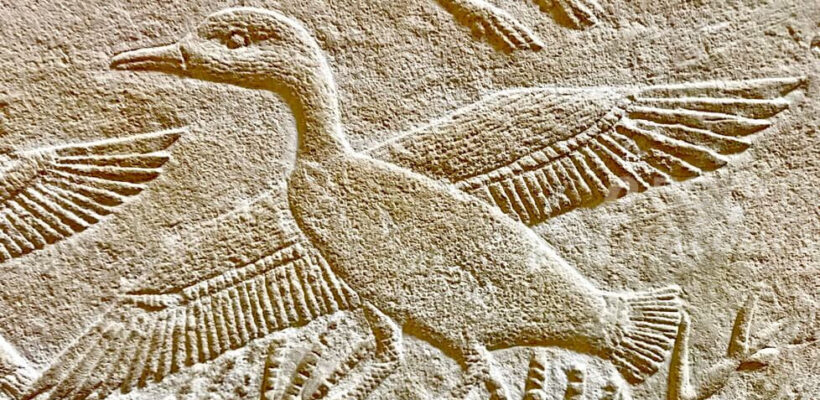 3 Days Cairo Tour Package - cairo tour package