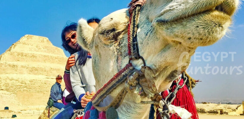 3 Days Cairo Tour Package - cairo tour package
