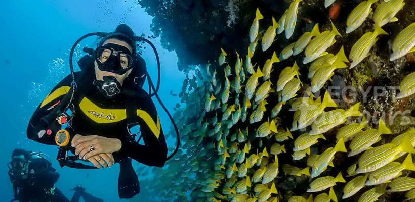 Diving Trip in Hurghada - port ghalib diving excursion - 7 Days Cairo and Hurghada Holiday