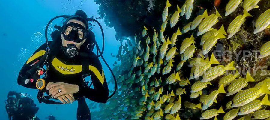 Diving Trip in Hurghada - port ghalib diving excursion - 7 Days Cairo and Hurghada Holiday