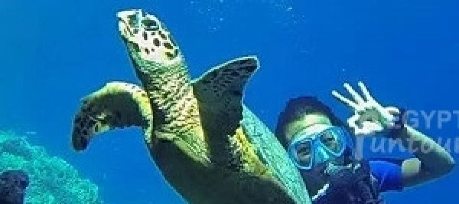 Diving Trip in Hurghada - port ghalib diving excursion - 9-day egypt tour