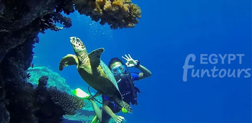 Diving in El Gouna