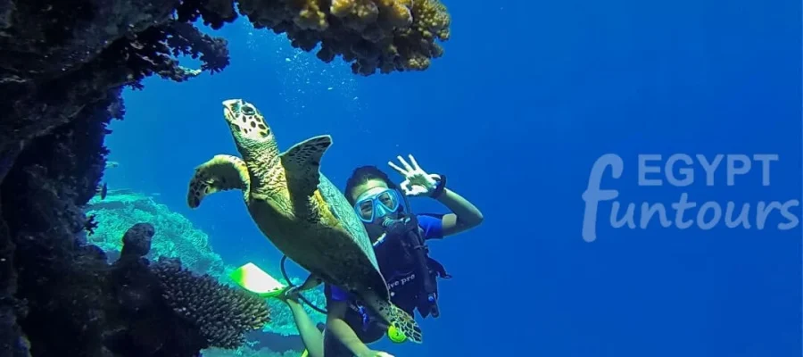 Diving in El Gouna