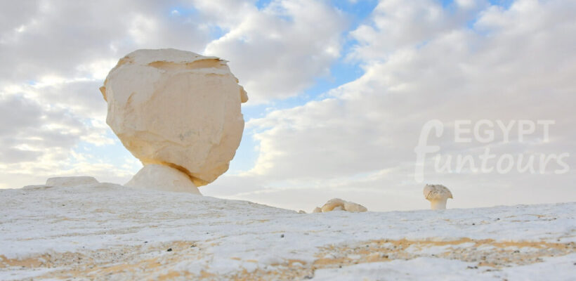 white desert header
