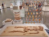 Prehistoric Period Artifacts in Civilization Museum (NMEC)